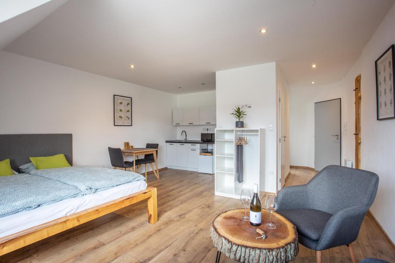 Apartmany Na Mikulasskem Namesti 兹诺伊莫 外观 照片