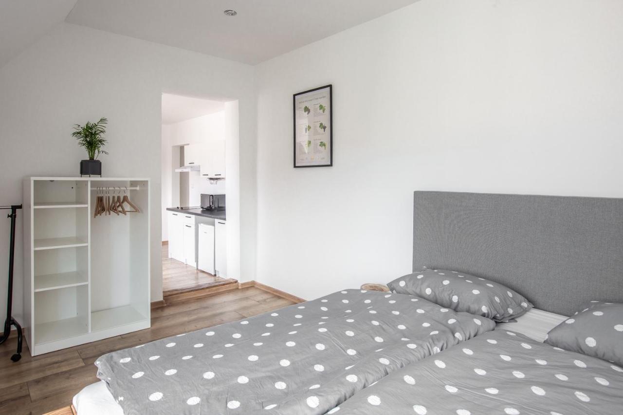 Apartmany Na Mikulasskem Namesti 兹诺伊莫 外观 照片